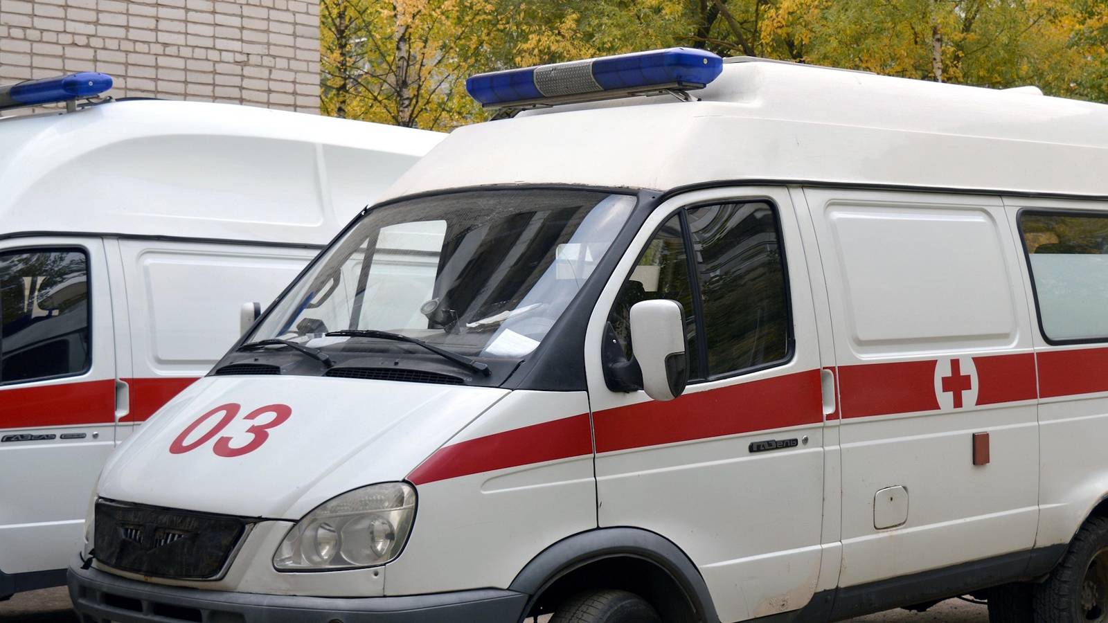 Tarihin gölgesi, beklenmedik bir acil durumda ortaya çıktı