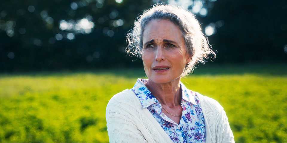 Aile sırları, zamanın ötesinde bir yolculuk, duygusal bağlar