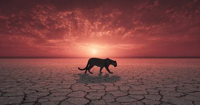 Geri dönüş yok, alarm çanları çalıyor, acil eylem şart