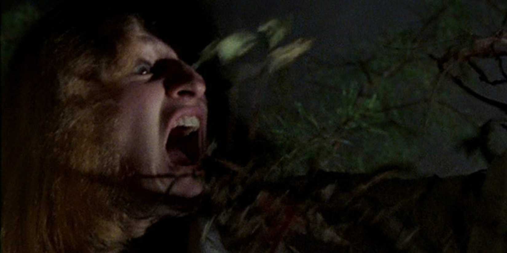 Kan, terör, gerilim; ruhu koltuğa çivileyen anlar