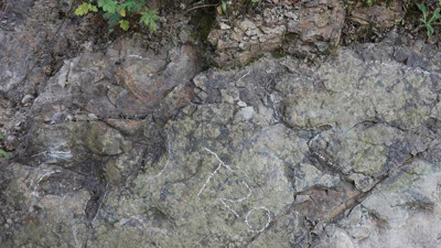 Küçük dinozor, geçmişin sırlarını fısıldıyor