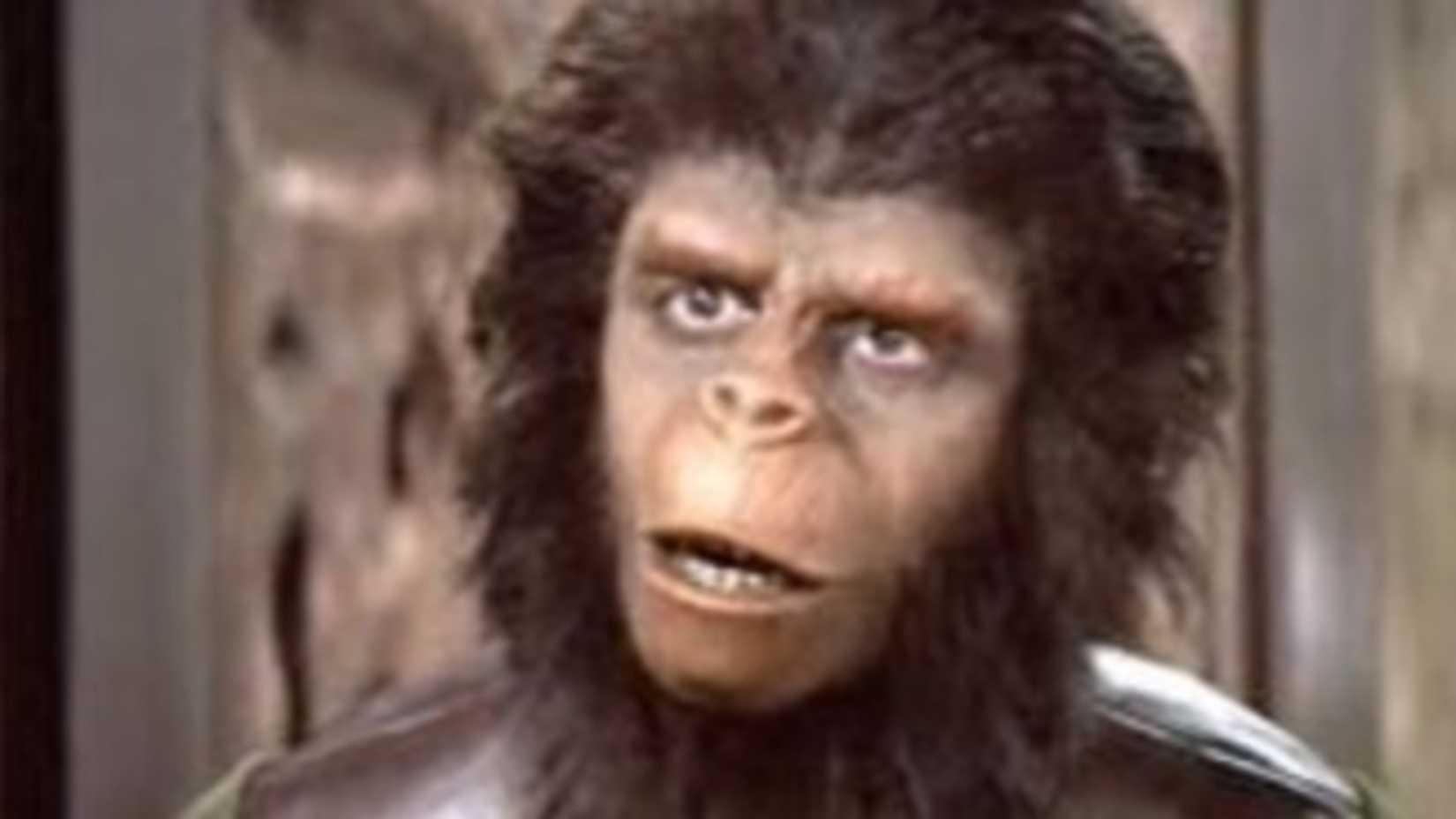 Aynalar, ayna görüntüsü, insanlık, evrim, sorgulama, dehşet