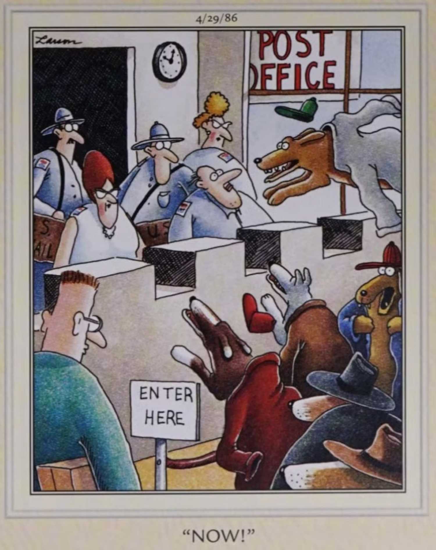 Hayvanlar konuşsa dünya nasıl olurdu, merak uyandırıcı komiklik!