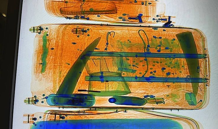 Doğanın sessiz çığlığına yapay zeka kulak veriyor