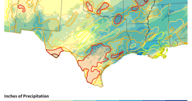 Çiftçiler umutla satış yapıyor, kuraklık acımasızca devam ediyor