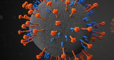 Hindistan'da Nipah alarmı, seyahat edenler dikkatli olsun