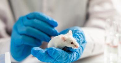 Fareler için umut, kansere karşı yeni bir başlangıç