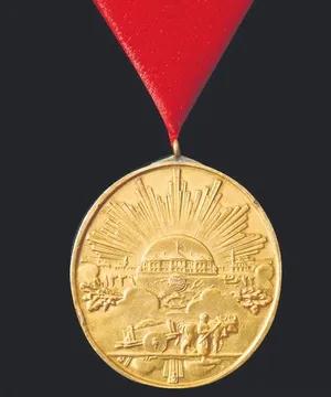 Yeniden doğuş, umut, dayanışma, Kahramanmaraş, geleceğe bakış