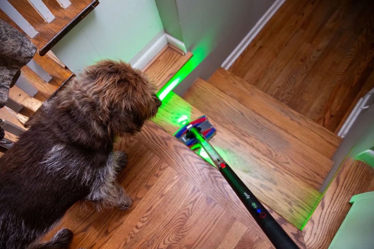 Hafif, güçlü, şık: Ev temizliği artık çok daha kolay