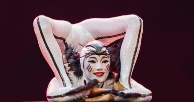 Böceklerin dünyası, akrobasiyle dans ediyor, büyüleyici bir gösteri