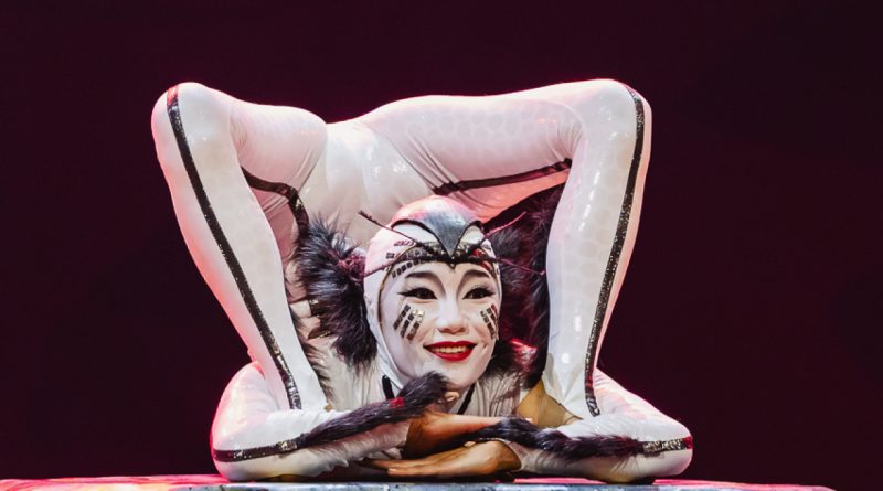 Böceklerin dünyası, akrobasiyle dans ediyor, büyüleyici bir gösteri