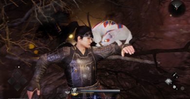 Kutsamalarla yükseliş, Nioh 3'te hayatta kalmanın anahtarı