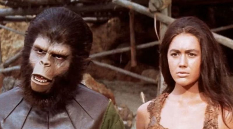 Maymunlar Cehennemi: İnsanlığın ahlaki ikilemleri, farklı gözlerden