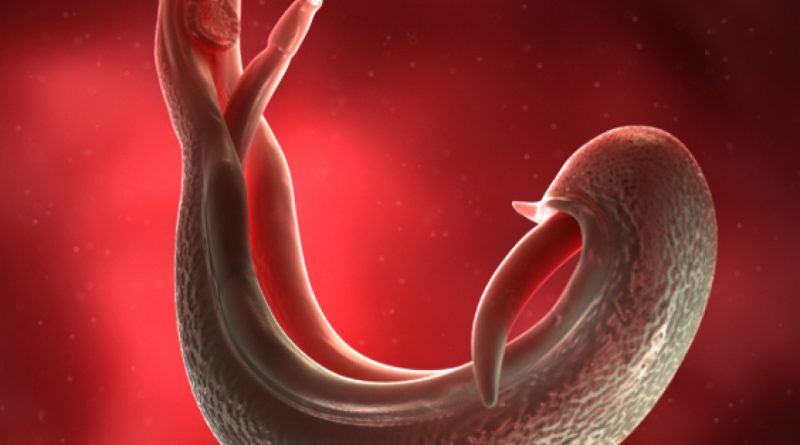 Gizli tehdit, yayılım endişesi, dikkatli olunmalı