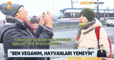 Köprüde balık, veganlık, tartışma, İstanbul, hayat