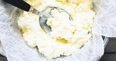 Tazelik kokusu, mutfakta lezzet şöleni!