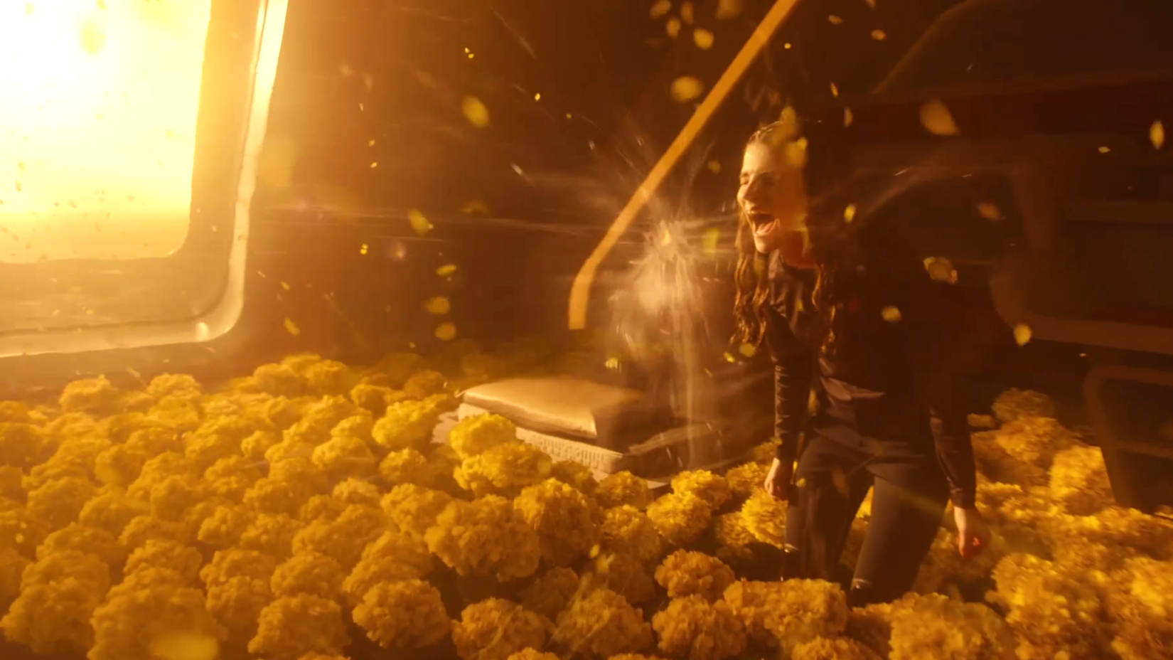 Nus Braka zafer kazanıyor, Akademi sarsılıyor, gelecek belirsiz