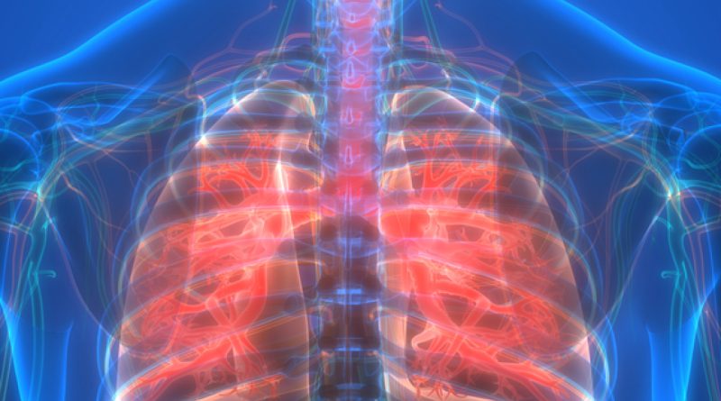 Hava kirliliği alarmı, akciğerlere dikkat, solunum yolu hassaslığı