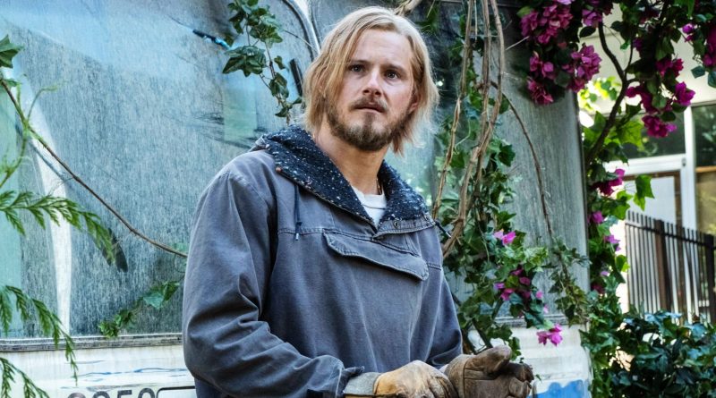 Umut filizleniyor, küllerden yeni bir dünya yükseliyor