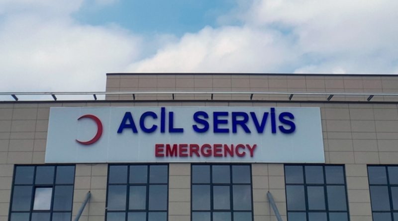 İstanbul'da kuduz alarmı: Aşılama devam ediyor, dikkatli olun!