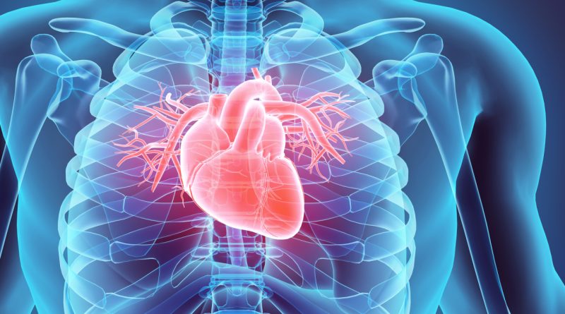 Hızlı tarama, hayat kurtarıyor, Kocaeli'nde kalp sağlığı güvende