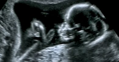 Anne karnındaki beslenme, geleceğin kalbini şekillendirir