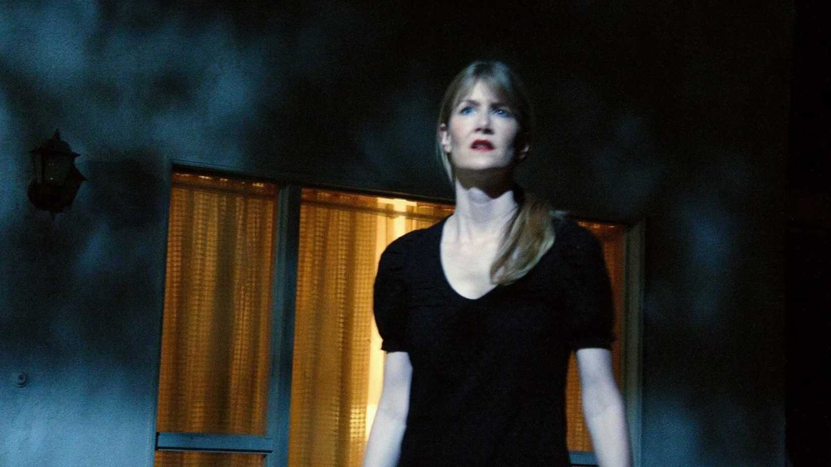 Rüya, gizem, sinema, ikili, işbirliği, ikonik, Dern, Lynch