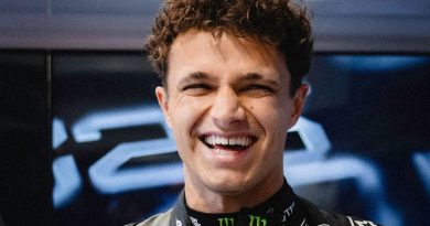 Gülümseme, ilham, başarı, gelecek, Norris, çocuklar, okul, motivasyon