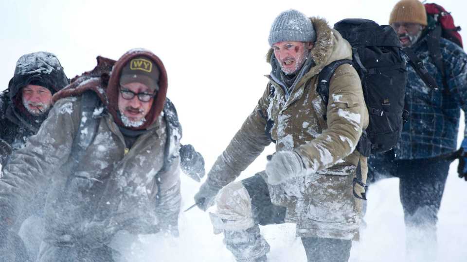 Kış, hayatta kalma mücadelesi, vahşi doğa, Neeson