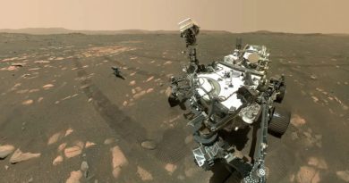 Kızıl toprakta filizlenme, geleceğin tohumları yeşerecek