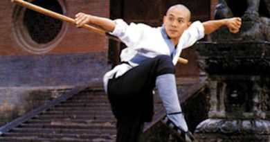 Usta dövüşler, Shaolin ruhu, Jet Li efsanesi başlasın!