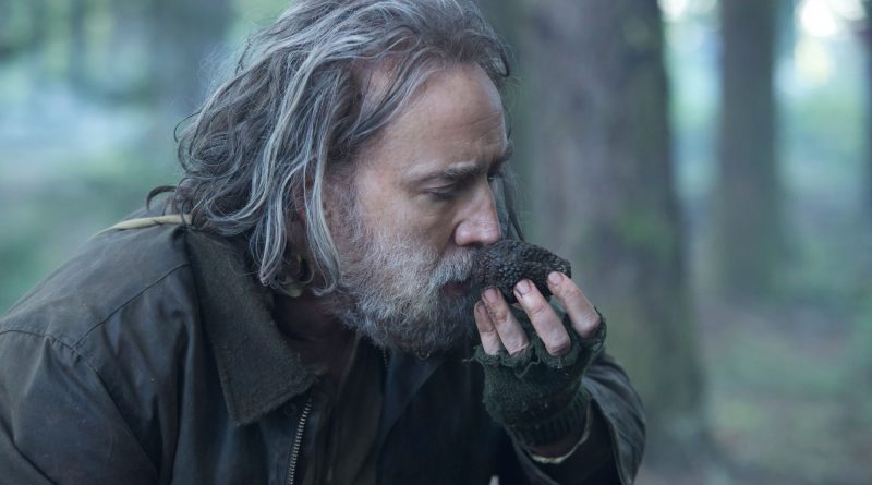 Nicolas Cage'in hüzünlü performansı, beklenmedik bir hikaye, dokunaklı