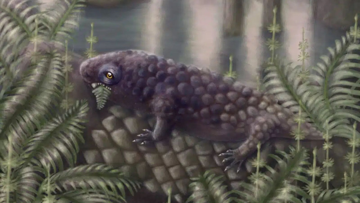 Küçük dinozor, geçmişin sırlarını fısıldıyor