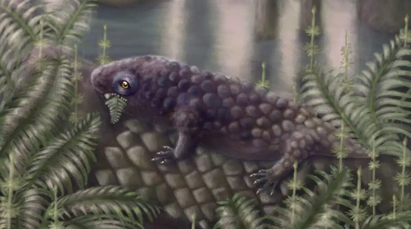 Küçük dinozor, geçmişin sırlarını fısıldıyor, evrim aydınlanıyor