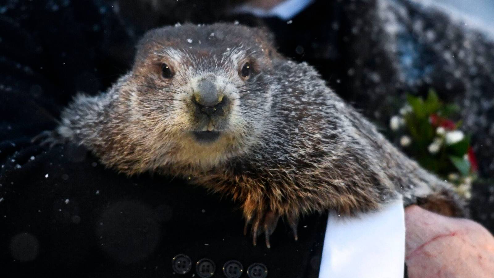 Yerbilirgisi konuştu, kış uzayacak gibi duruyor!