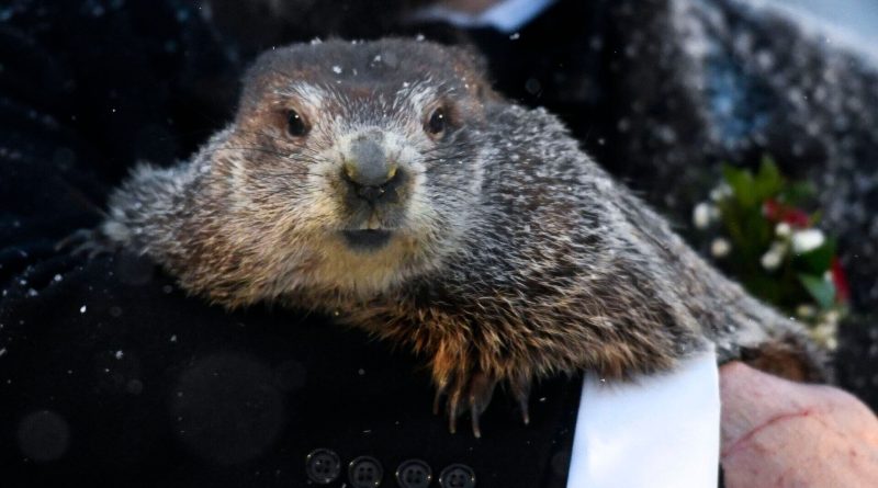 Yerbilirgisi konuştu, kış uzayacak gibi duruyor!