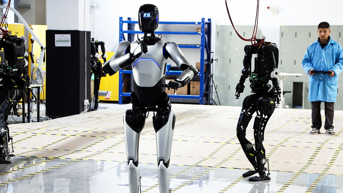 Dans eden, boks yapan robotların görsel şöleni!