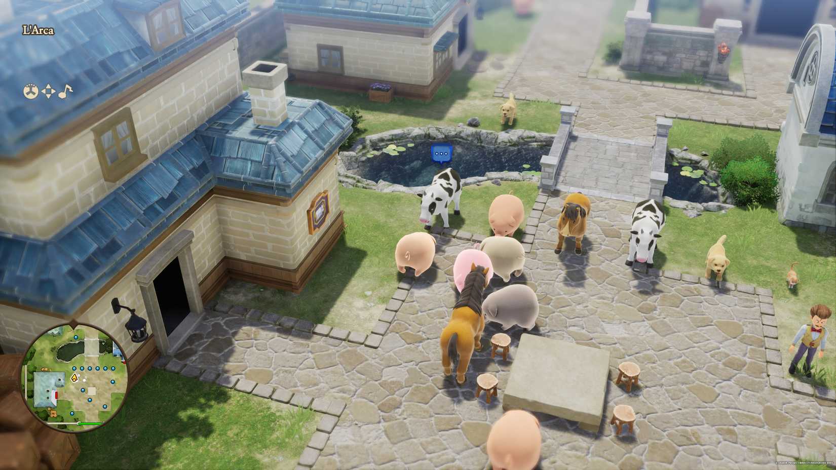 Zekâ, gözlem ve hafıza ile hayvanları çöz!