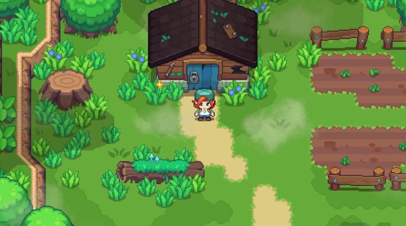 Gizemli adada tavuklar, bulmacalar, ödüller ve macera!