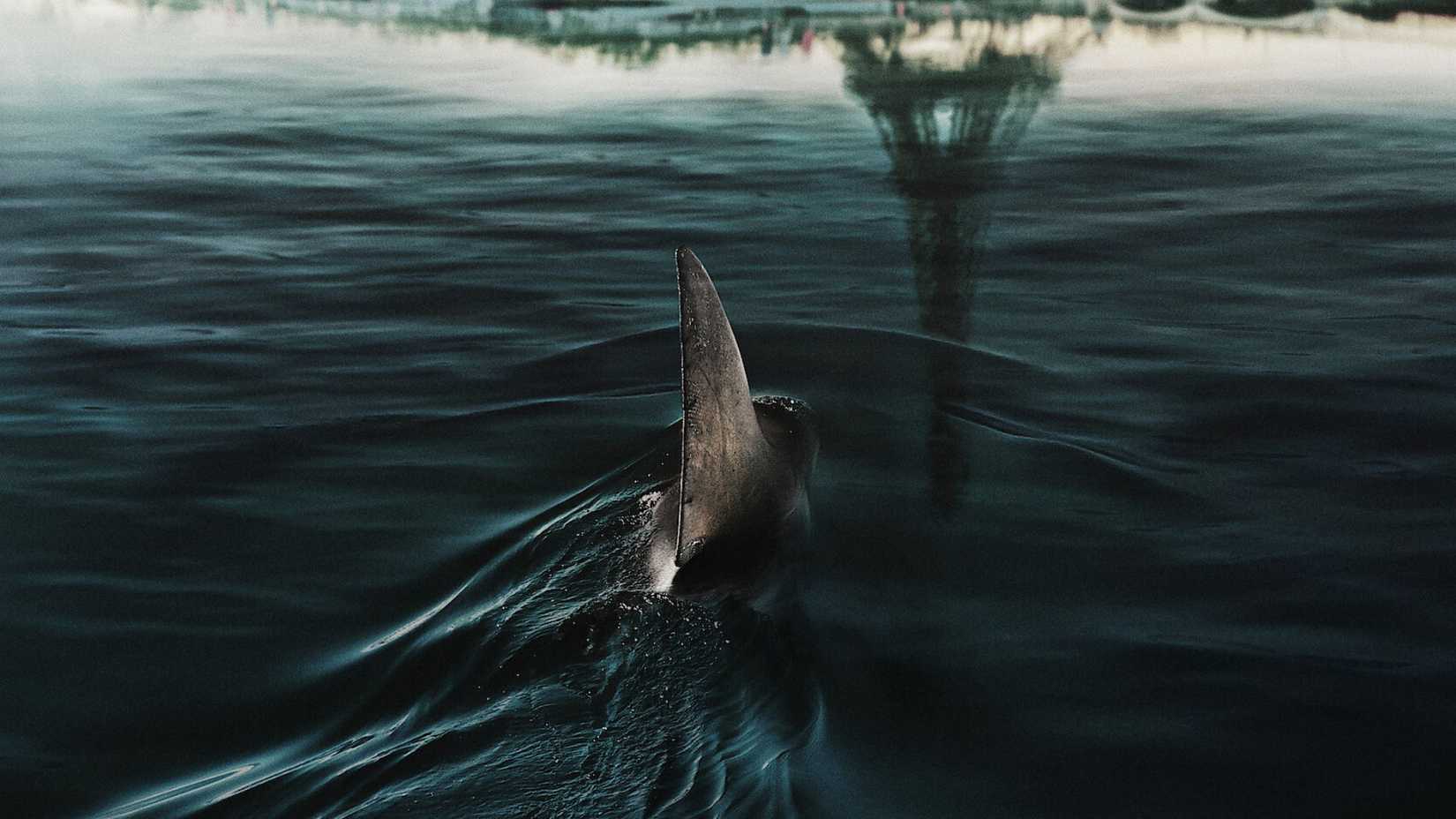 Gizemli atmosfer, gerilim yükseliyor, yıldız oyuncu geri dönüyor