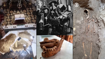 Kuşlar, sigara izmaritleriyle yuvalarını koruyor, akıllı çözüm!