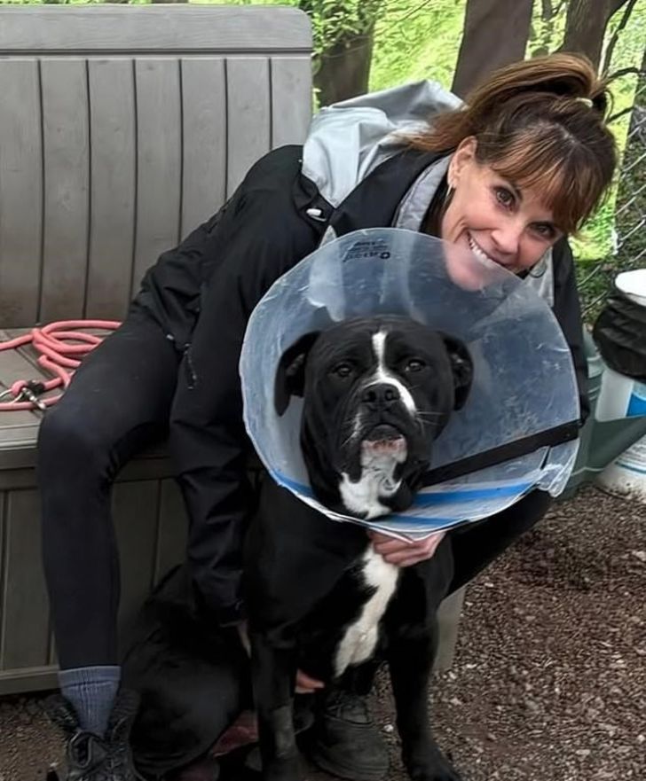 Protesto sonrası tutuklanan ünlü oyuncu, hayvan hakları savunucusu çıktı