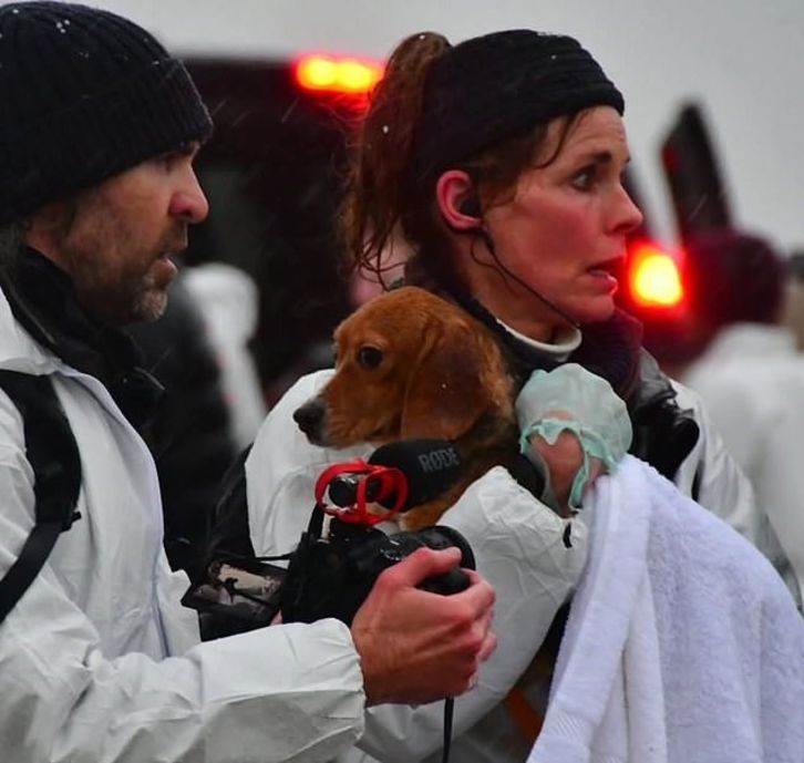 Protesto, tutuklama, köpek kurtarma, ünlü oyuncu, hayvan hakları