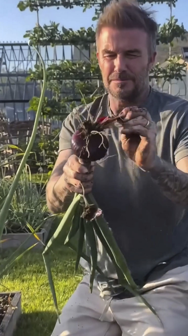 Yeşil dokunuşlar, yıldızın eliyle canlanıyor, bahar coşkusu!