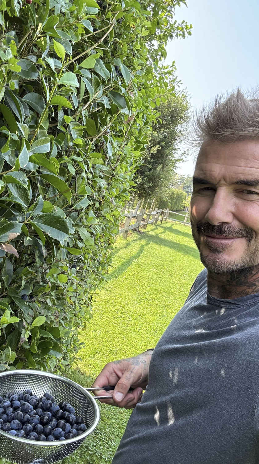 Bahçeciliğe gönül vermiş efsane, Londra'da çiçek açıyor