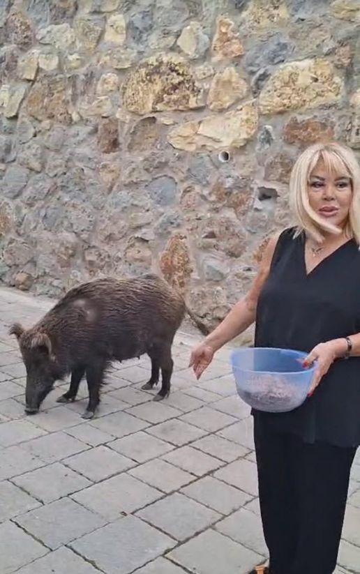 Doğayla iç içe bayram coşkusu, şaşırtan anlar yakalandı