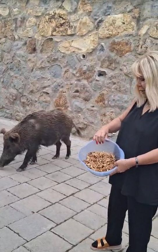 Doğayla iç içe bayram telaşı, şaşkınlık ve sevgi dolu anlar