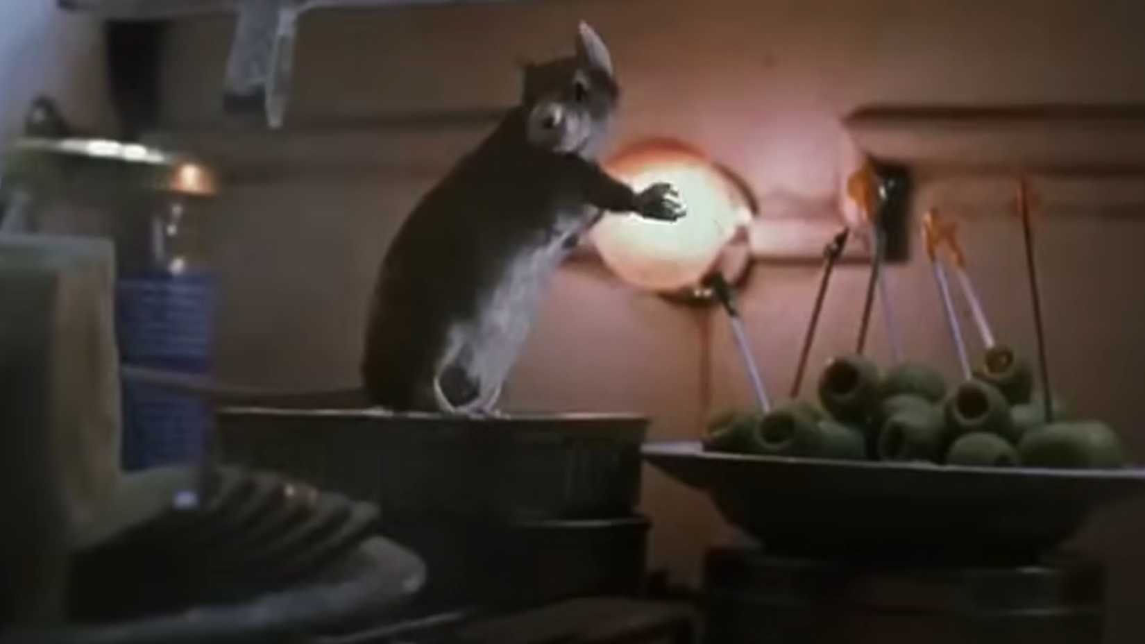 Yılların izleri, sıcak kahkaha sesleri, aile bağları