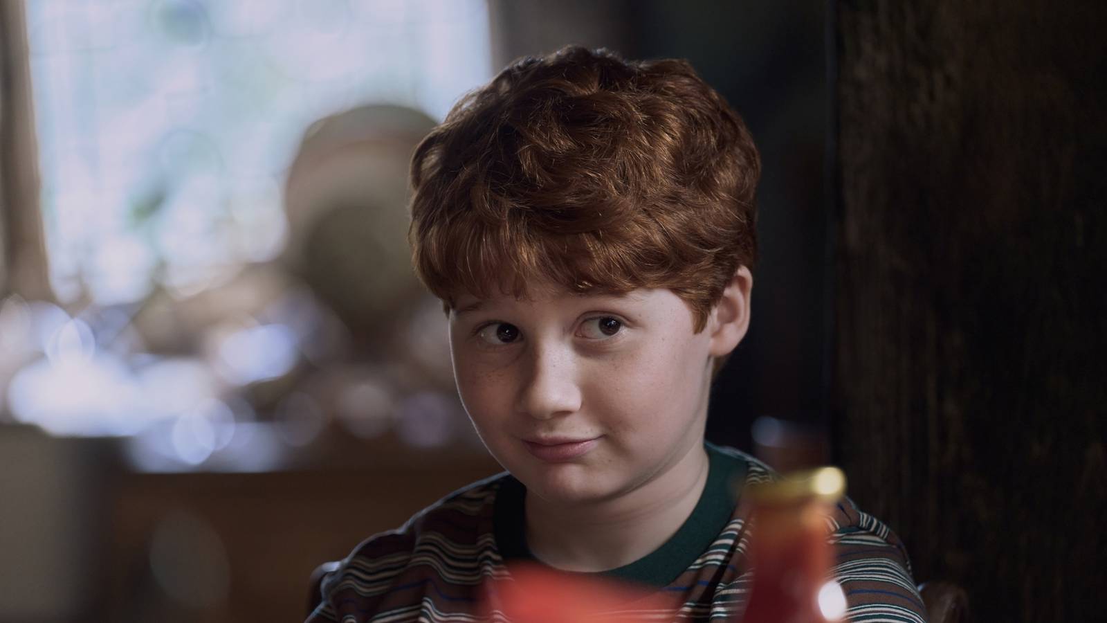 Karanlık bir geçmiş, yeni bakış açısı, Petunia'nın hikayesi