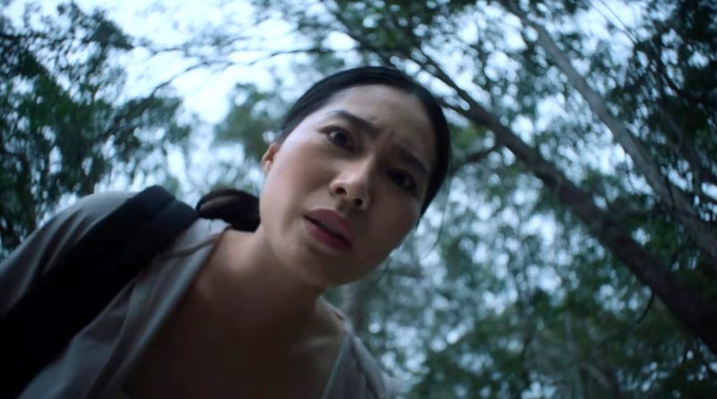 Karanlık orman, çaresizlik, bakış açısı, gerilim, dehşet